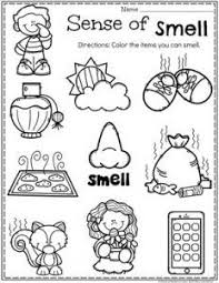 Preschool 5 Senses Worksheet Sense Of Smell Five Senses Preschool Senses Preschool 5 Senses Preschool