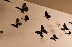 Rescuing crushed beer cans from the streets of new york city, williams carefully cuts each can and creates a. Sustainable Sculpture Made From Recycled Drink Cans By Paul Villinski Contemporary Bathroom Dc Metro By Ernesto Santalla Pllc Houzz