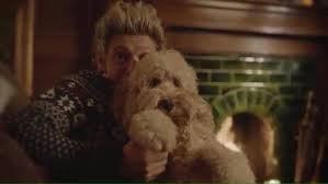 Liam and louis have mad harry cry twice. Colin El Perro De Ben Louis Tomlinson Rey Del Bardo Facebook