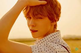 Jun, hoshi, wonwoo, woozi, dk, mingyu, the8, seungkwan, vernon, dino. Biodata Profil Dan Fakta Lengkap Vernon Seventeen Kepoper