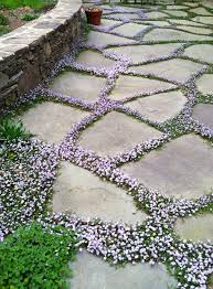 Check spelling or type a new query. 22 Garden Path Materials Ideas Garden Garden Design Outdoor Gardens