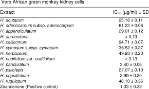 Image result for Helichrysum cephaloideum