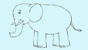 Namun, untuk menjumpai langsung hewan ini kalian setidaknya harus ke kebun binatang. 12 Sketsa Gajah Dan Cara Menggambarnya Mudah Banget
