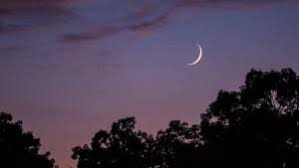 Eid day is very exciting for all muslims. S2a03ugoyut0cm
