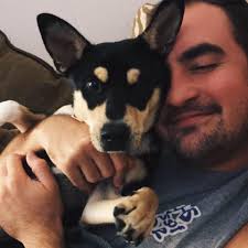 Tri-color dog and puppy