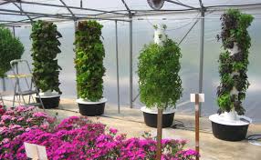 See more ideas about greenhouse, greenhouse gardening, garden greenhouse. Greenhouse Gardening How To Extend Your Growing Season