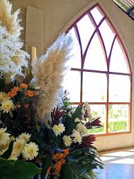 Serving the franklin tn area since 1955, we strive for complete customer satisfaction! Patti S Flowers Home Facebook