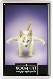We did not find results for: Blechschild 20x30 Yoga Cat Katzen Fun Lustigestier Haustier Bar Kneipe Geschenk Ebay
