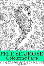 Free Seahorse Colouring Page For Adults Coloring Pages Free Coloring Pages Colouring Pages