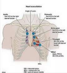 Image result for Point of Maximum Impulse