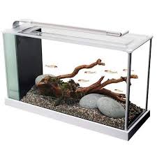 Fluval 5 Gallon Spec V Aquarium Kit White Petco Aquarium Kit 5 Gallon Aquarium Nano Aquarium