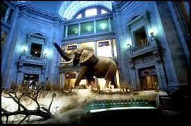 15 Best Places To Go With Kids In Washington D C Washington Dc Vacation Washington Dc Travel Dc Vacation
