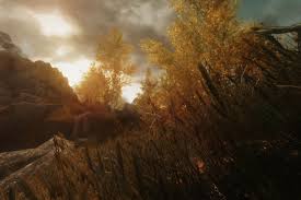 Unique Grasses And Groundcovers Nature And Landscape Enhancement At Skyrim Nexus Mods And Community Landscape Skyrim Nature