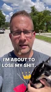 Chloe the Chihuahua's Wild Adventure