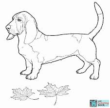 Free Printable Basset Hound Coloring Pages Dog Coloring Page Puppy Coloring Pages Dog Coloring Book
