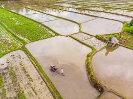 Be prepared, and stay safe. China Faces Worst Flood In Decades As Yangtze Water Levels Reach Record Highs Naturalnews Com