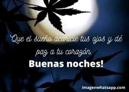 Hermosas imágenes para descargar gratis con frases cortas de buenas noches y tiernos animalitos para regalarle a esa persona tan especial, en la que pensas cada noche antes de irte a dormir. Good Night Buenas Noches Frases E Imagenes Imagenes Para Whatsapp