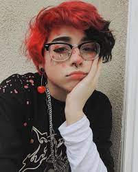 Bianca In 2021 Short Dyed Hair Androgynous Hair Split Dyed Hair