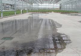 Maybe you would like to learn more about one of these? Capillary Mats Are Back Greenhouse Grower