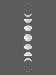 The Nest Free Printable Moon Phase Art And Pattern Downloads And Pattern Making Tutorial With Snapbox Squirrelly Minds Moon Phases Art Free Printable Wall Art Wall Printables