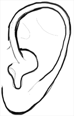 6 watch video ears drawing. How To Draw Ears Step By Step For Kids Learn How To Draw