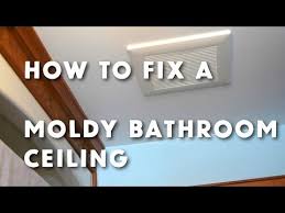 Fill the bottle with undiluted white vinegar and spray the problem areas. Pin On Bathroom