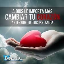 Ezequiel 11 19 20 Y Les Dare Un Corazon Y Un Espiritu Nuevo Pondre Dentro De Ellos Y Quitare Frases Espirituales Frases Religiosas Citas Celebres Cristianas