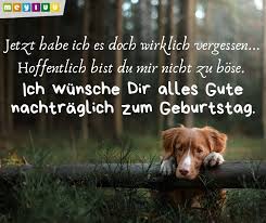 Hochzeitsjubiläum hochzeitsjubiläum wenn es darum geht, glückwünsche zur goldhochzeit richtig schreiben und verfassen zu wollen, dann denkt man gleichzeitig natürlich auch daran, auf was man dabei eher verzichten sollte. Geburtstagswunsche Schone Gluckwunsche Zum Geburtstag