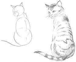 Please enter your email address receive free weekly tutorial in your email. Guide To Drawing Cats Kittens With Step By Step Instructional Tutorial Lesson How To Draw Step By Step Drawing Tutorials
