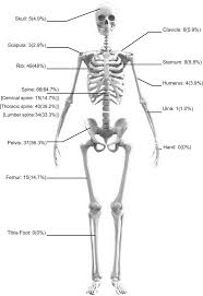 Discover 10 common bone cancer symptoms at 10faq health and stay better informed to make healthy living decisions. Distribution Of Bone Metastases In Patients With Small Cell Lung Cancer Download Scientific Diagram