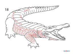 How To Draw A Crocodile (Step By Step Pictures)