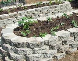 First Raised Beds Square Foot Gardening Forum Gardenweb Square Foot Gardening Vegetable Planting Guide Growing Vegetables