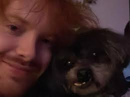 Obligatory summer post but it's already another season RIP Charlie and  Winnie