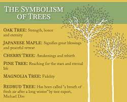 Example sentences with the word remembrance. Planting A Memorial Tree For Your Loved One