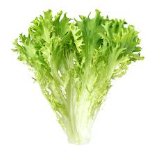 La recette que je veux partager ici c'est surtout la sauce au café et à la chicorée car c'est l'originalité principale de l'assiette, c'est elle qui est venue rehausser et apporter toute sa cohérence à ma recette. La Chicoree L Arme Ideale Pour Combattre Les Troubles Gastriques