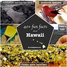Hawaii is the only u.s. Interesting Facts And Fun Trivia Big Island Fact Sheet Hawaii