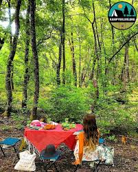 her gun 1 kamp yeri gunluklu koyu fethiye de gocek fethiye karayolu uzerinde yer aliyor fethiye merkezine 17 km uzaklikta buluna hamaklar ormanlar piknik