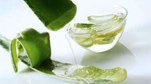 Chimere faulk, hair stylist and creator of dr. Aloe Vera Hair Mask Benefits Diy Recipes And How To Use