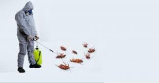 Find the best residential pest control, commercial pest control companies in india. Controller In Karawal Nagar See All Offers On Locanto Services