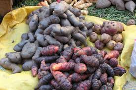 Epingle Sur Vegetables