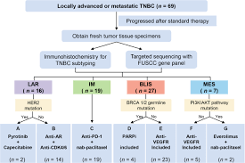 Although the percentage of cases in men is much lower than in women, male breast cancer accounts for a por. Molecular Subtyping And Genomic Profiling Expand Precision Medicine In Refractory Metastatic Triple Negative Breast Cancer The Future Trial Cell Research