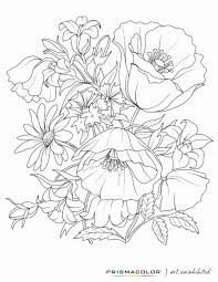 Pin On Best Flower Coloring Pages