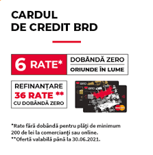 Euro scade putin, dolarul si lira sterlina cresc. Brd Ro Curs Valutar Dobanzi De Referinta Si Convertor Valutar