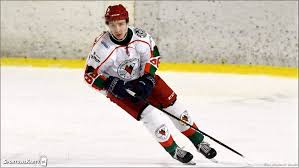 Liga, mládež, reprezentace, mistrovství světa, nhl, champions hockey league, evropské ligy. Hokej Portal Hokejowe Karty Polski Hokej Polska Hokej Liga