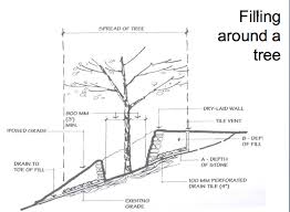 Pin On Unit 1 Grading