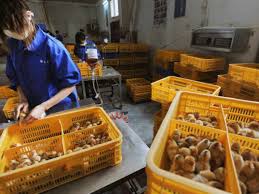 H10n3 does not seem to be transmitted from person to person, he points out, and that's a good thing. Tor18vz7 Szjrm