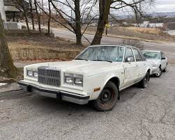 Image result for Bright White 1993 Dodge