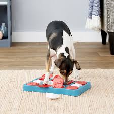 Meaningful innovations that raise the woof! Nina Ottosson By Outward Hound Brick Puzzle Game Dog Toy Chewy Com
