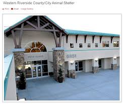 We did not find results for: Dogs Of Riverside Shelter Home Facebook