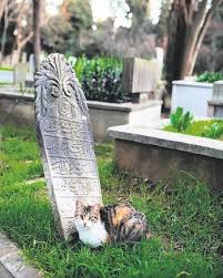 Her Dogum Ayni Zamanda Olumun Habercisidir Takvim
